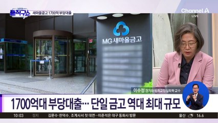 [핫3]새마을금고, ‘깡통 법인’으로 1700억 부당대출