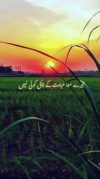 یا اللہ اتنا عطا کر جتنی تیری شان ہے،🤲 اتنے گناہ معاف فرما جتنا تو رحمن ہے،🤲 اتنی ہی ازمائش سے دور رکھ جتنا تو مہربان ہے-🤲 اتنا رزق عطا کر جتنا تو رزاق ہے-🤲 ہم سب کی عبادتوں کو اپنی بارگاہ میں قبول فرما اور ہم سب کو بخش دے امین ثم امین یا رب العلمین🤲