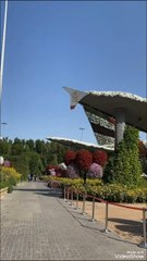 miracle Garden 🏡🏡 in Dubai