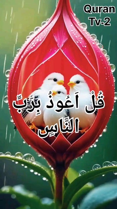 Quran tilawat