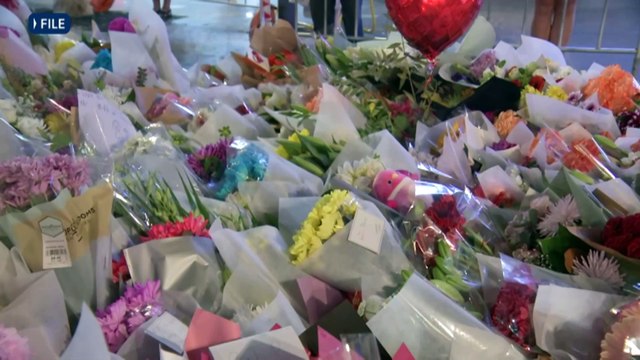 Officer describes alternation between Joel Cauchi and father over knives in Bondi stabbing inquest