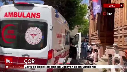 Çorlu'da köpek saldırısına uğrayan kadın yaralandı