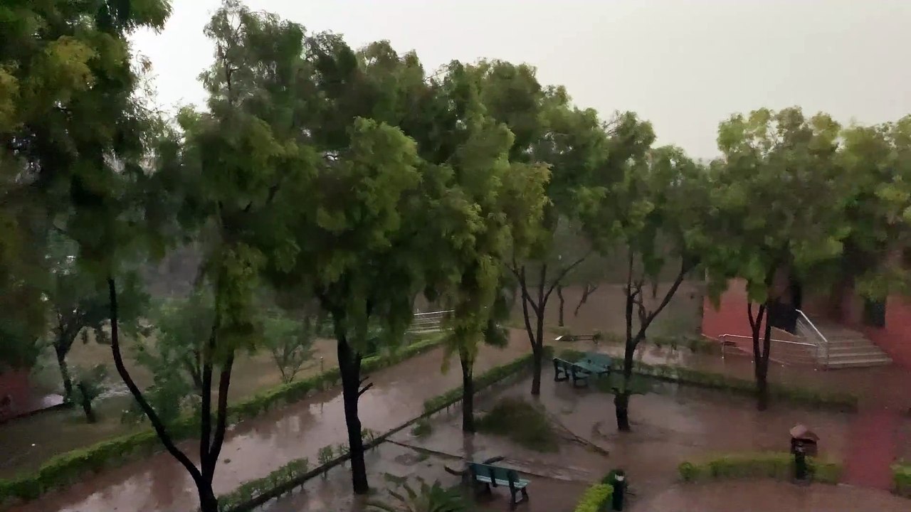 Wild weather