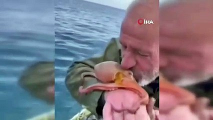 Yakaladığı ahtopotu öpüp sevdi, denize bıraktı