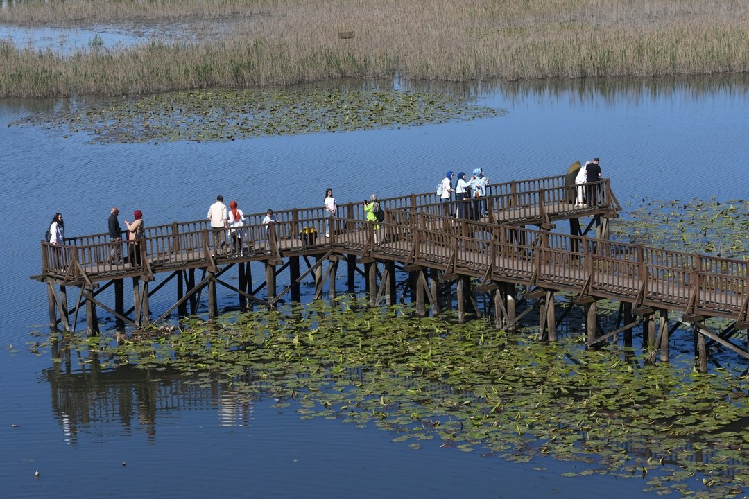 22 türden 2 bin 111 kuş burada:  Efteni Gölü Kuş Cenneti