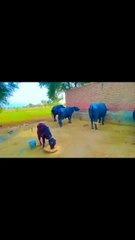 Allah 💖 krasi cngiya