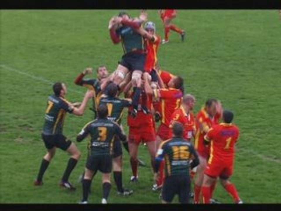 Rcch st saturnin 2008 chiens poubelle