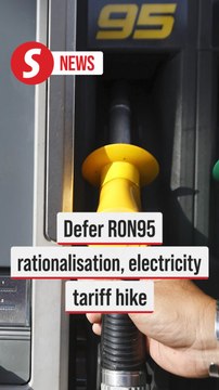 Defer RON95 rationalisation, electricity tariff hike, says Hamzah