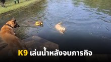 พาน้อง K9 ไปเล่นน้ำคลายเครียด หลังปฏิบัติภารกิจ