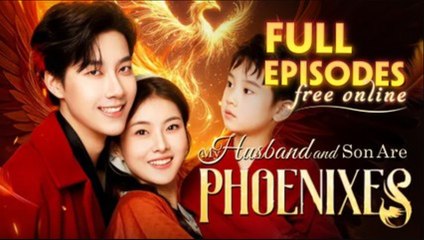 My Husband And Son Are Phoenixes Chinese Drama