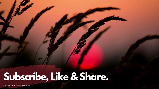 Relaxing Music with Beautiful Nature - Peaceful Piano Music by Soothing Relaxation