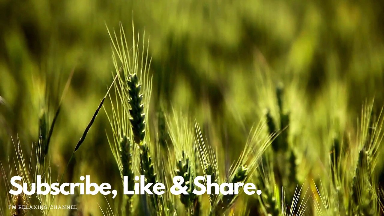 Relaxing Music For Stress Relief, Anxiety and Depressive States • Heal Mind, Body and Soul