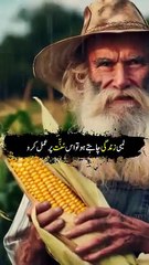 If you want your heart to beat peacefully, follow this Sunnah.