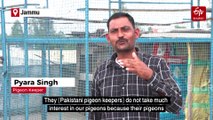 Flight Club: Pinching Pigeons On The India-Pakistan Border