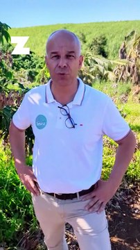 Garance : Arnaud Rousseau, président de la FNSEA, auprès des agriculteurs réunionnais