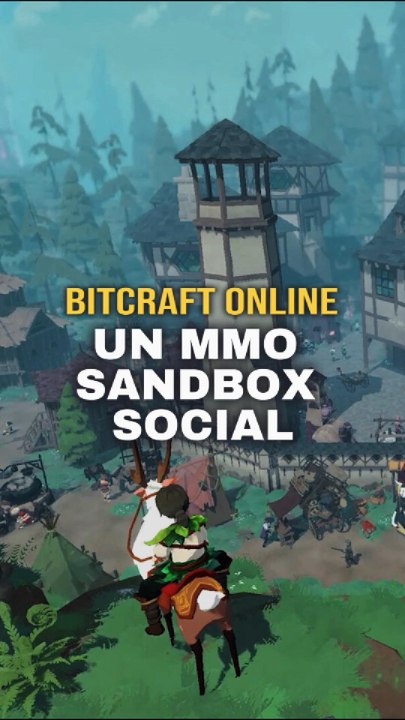 Un MMO sandbox ultra communautaire ! #sandbox #mmo #online #gaming #pourtoi #bitcraft