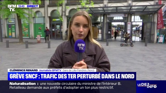 Grève SNCF dans le Nord-Pas-de-Calais: avec un TER sur trois en circulation, les voyageurs doivent s'adapter