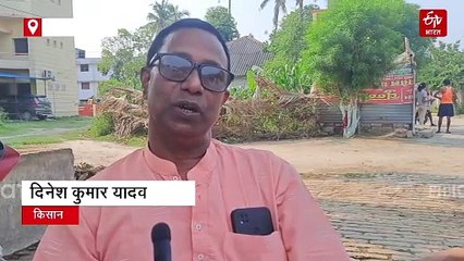 अब शाही लीची के शहद का लीजिए स्वाद, घर-घर पहुंच रही मिठास, 700 टन शहद का होगा उत्पादन