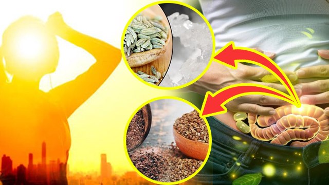 Digestion Problem In Summer: गर्मियों में 1 घरेलू उपाय से दूर होगा Digestion की समस्या,Home Remedies