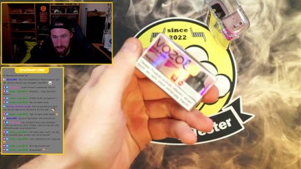 Vozol Vista Plug Peach Ice Review, Test und Geschmackstest