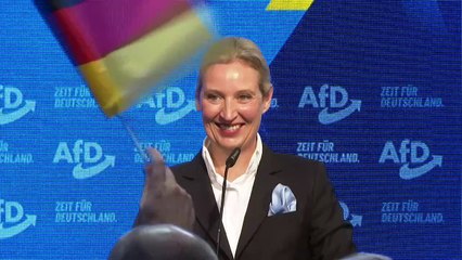 "Gesichert rechtsextremistisch": AfD verklagt Verfassungsschutz