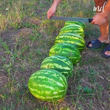 Impressive Ways To Cut Fruits & Veggies