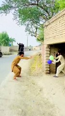 Gada gari chori karne ka Funny video