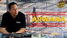 VIDEO KOMPARASI PENAMPILAN ARWANA PASCA MABUNG