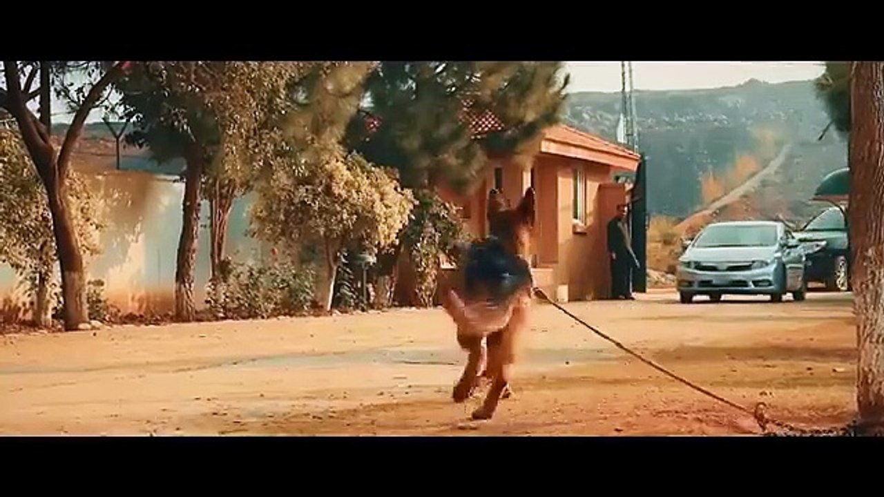 MISIÓN LETAL ESTRENO 2025 ACCIÓN PELICULA COMPLETA EN EPANOL LATINO HD