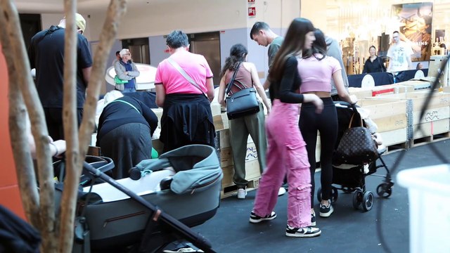 Pacchi smarriti in vendita a Ferrara