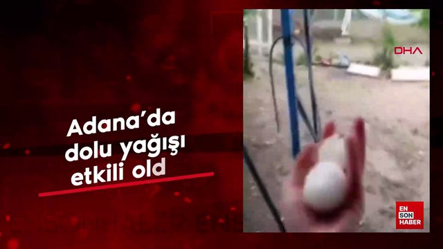 Adana'da dolu yağışı; tarım arazileri zarar gördü