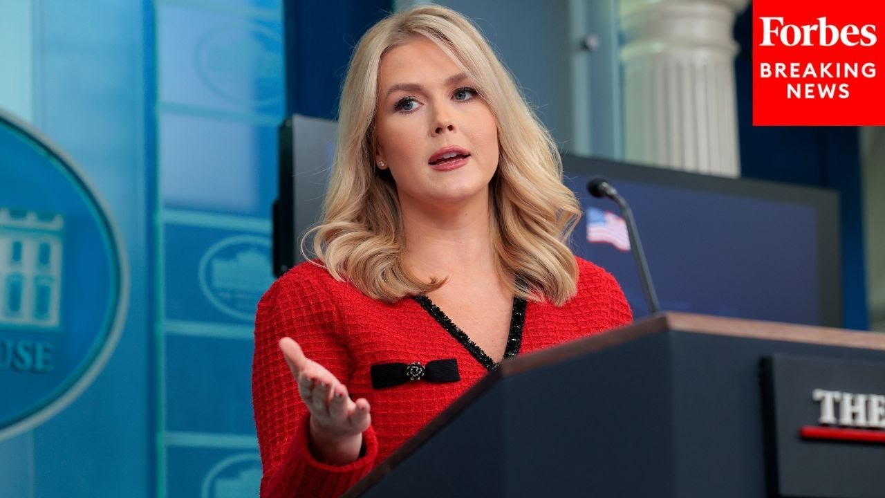 GOP Strategist Bashes Trump Press Sec. Karoline Leavitt Holding Briefings For 'Influencers'