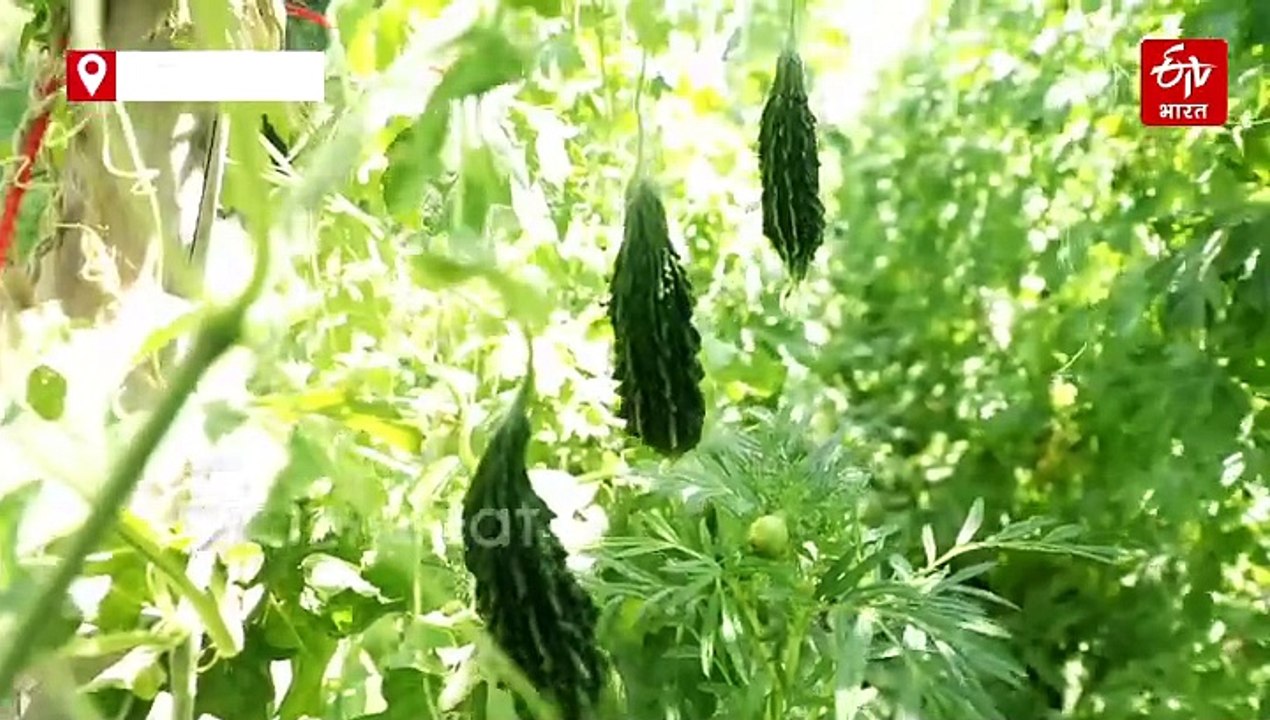 खेती का आधुनिक आइडिया, किसान ने लगाया ऐसा दिमाग, हर साल लाखों का मुनाफा