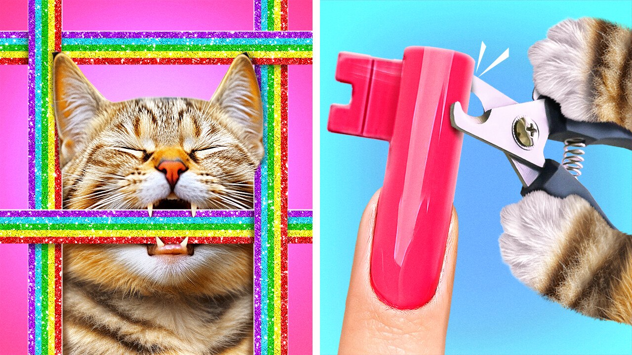💩🐱 DIY No-Touch Poop Picker Using a Hair Clip?! 🤯 The Ultimate Cat Owner Hack!
