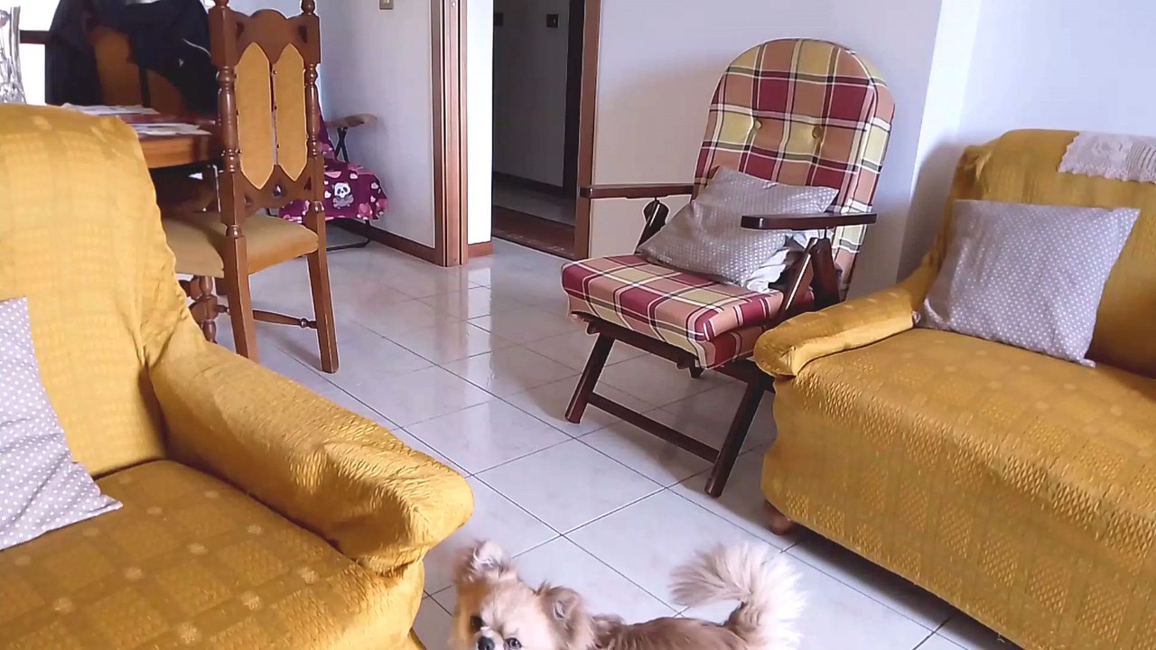 Milo e la sua molletta