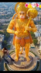 बंदर ने पहनाई माला