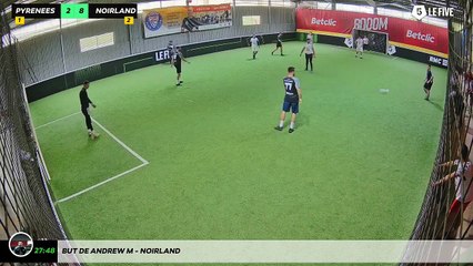 But de Andrew M - Noirland