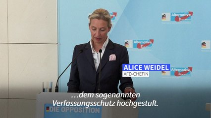 Verfassungsschutzbericht zur AfD: Weidel wirft Faeser "Geheimjustiz" vor