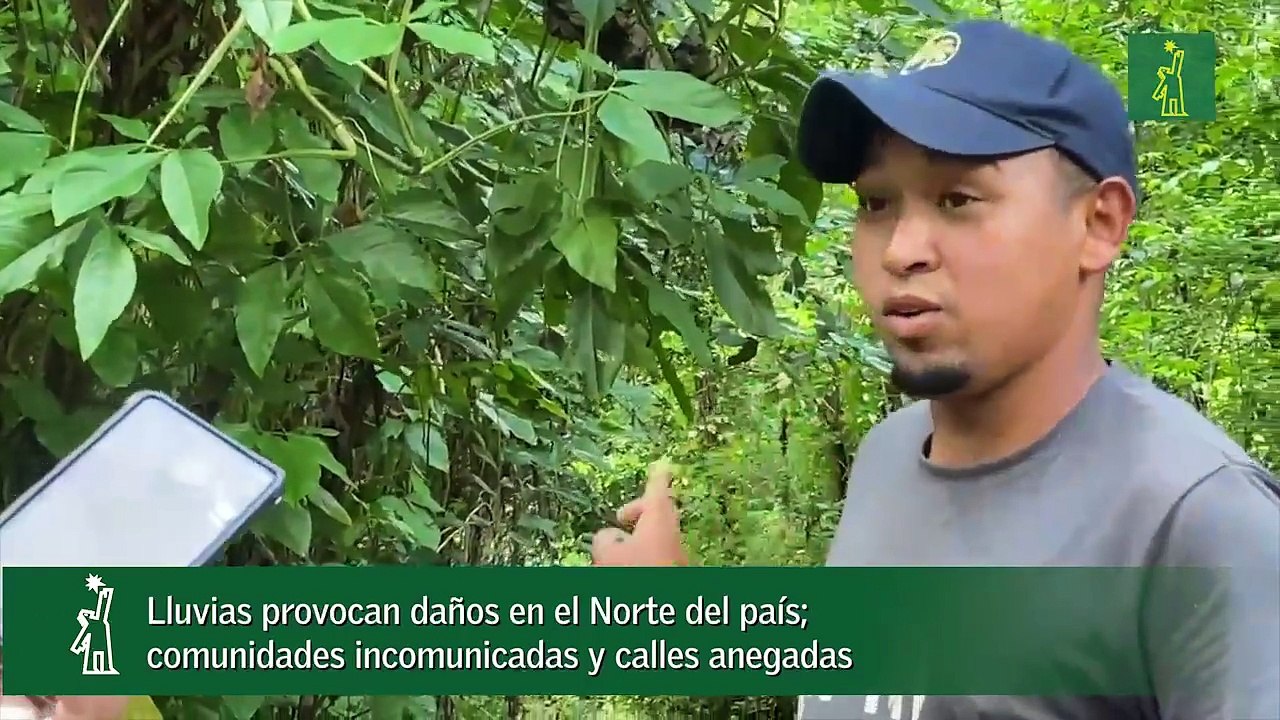 Lluvias provocan daños en el Norte del país; comunidades incomunicadas y calles anegadas