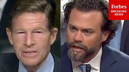 'I Was Relieved Of My Command For Publishing A Book': Trump Nominee Gives Frank Answer To Blumenthal