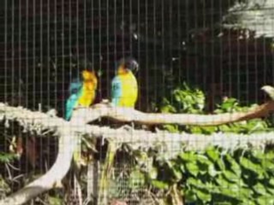 video sorties photo