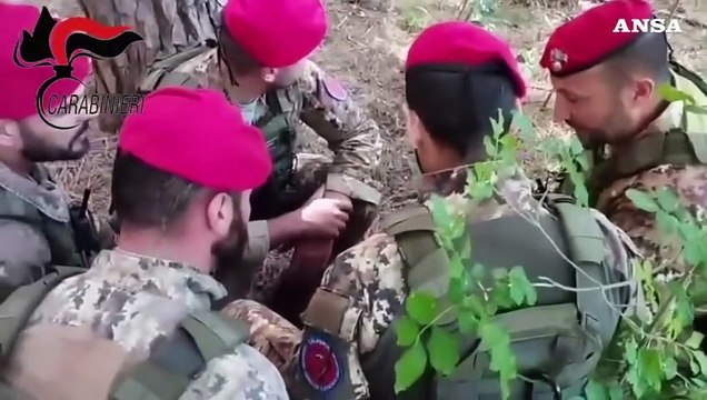 Grosseto, sei arresti in un blitz antidroga nei boschi della Maremma