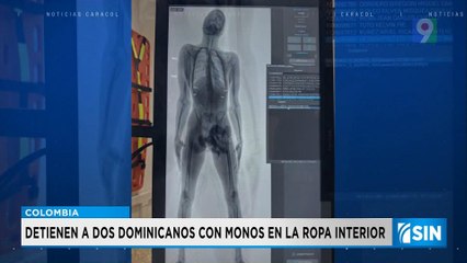 Dos dominicanos detenidos por contrabando de monos en ropa interior | Primera Emisión SIN