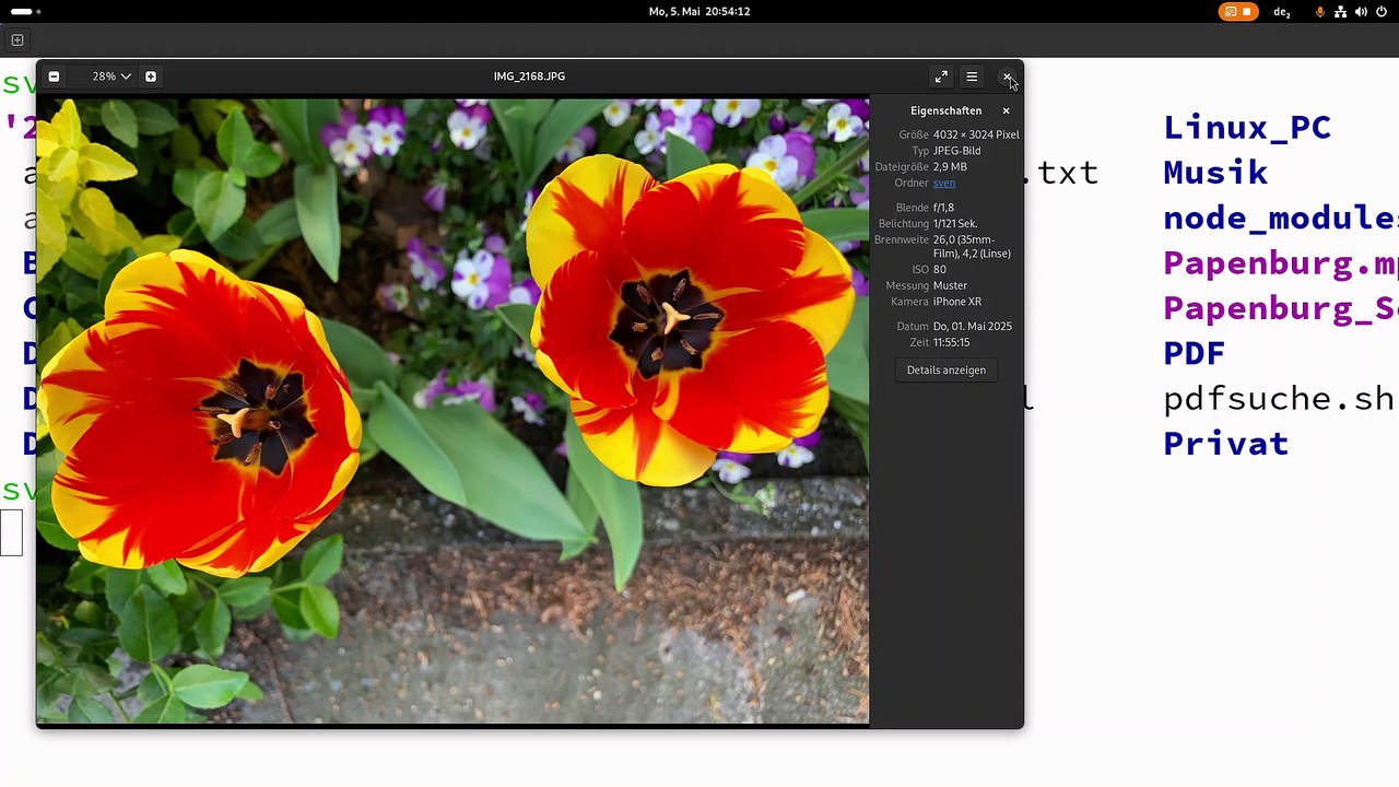 Wie kann man Metadaten von Bilddateien auslesen?