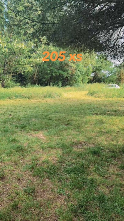 205 XS
