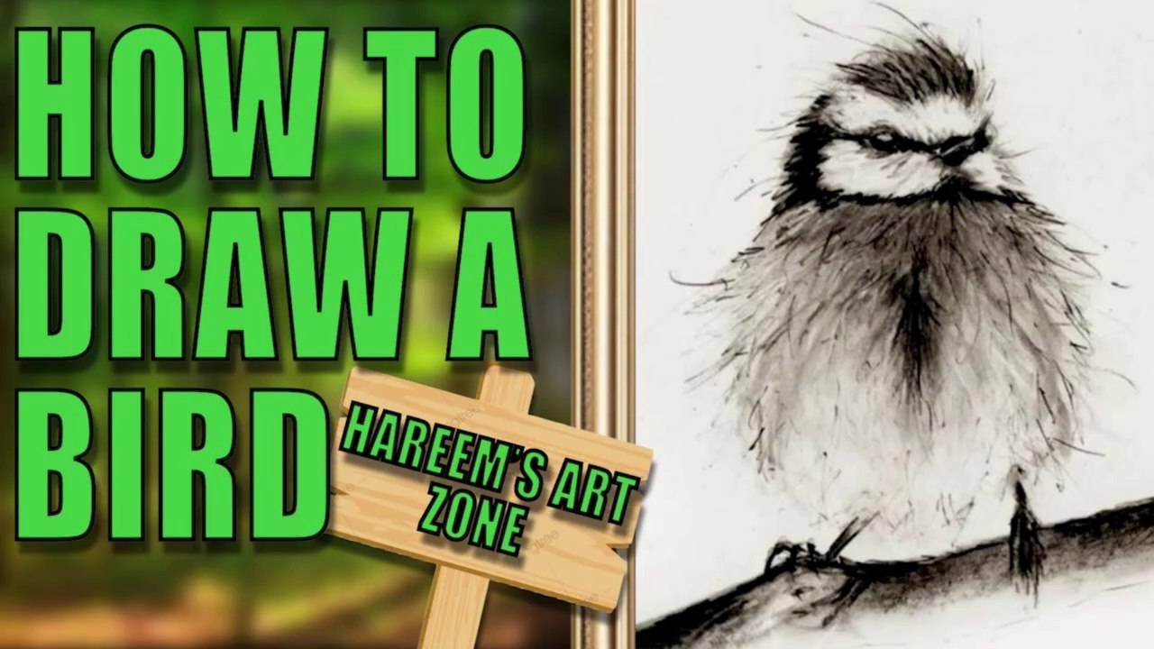 Hyperrealistic/hyperrealism bird drawing| Realistic bird drawing| quick bird drawing/shading