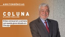 Grãos começaram a semana com queda generalizada em Chicago
