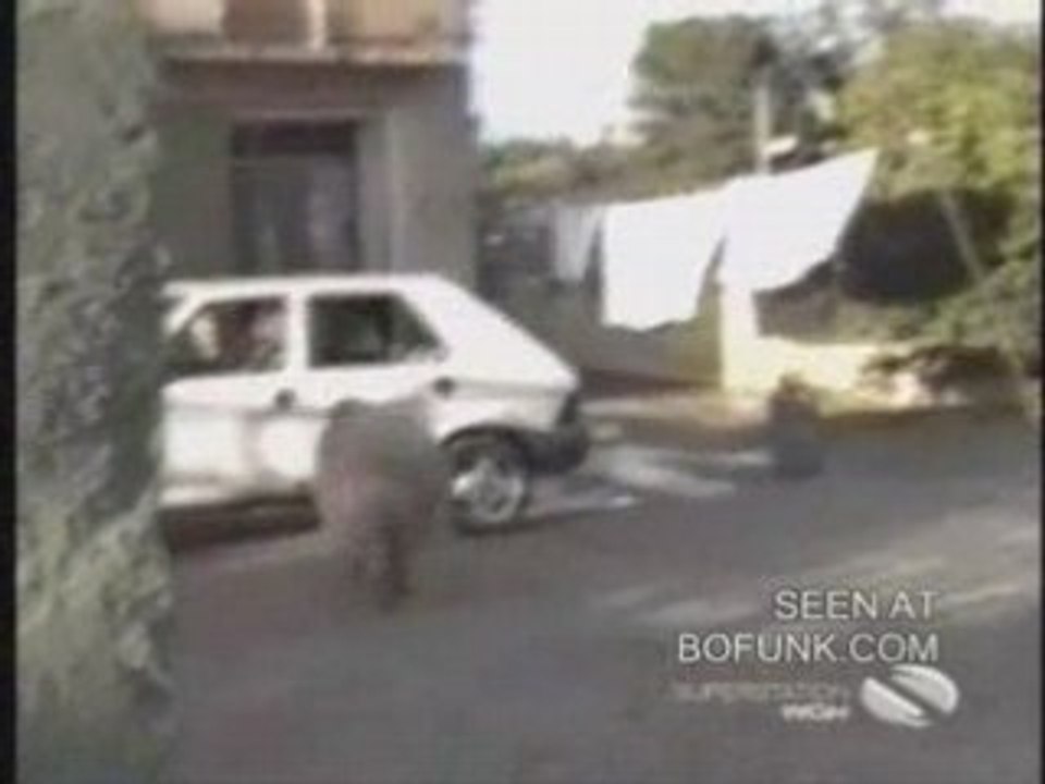 Beliertresenerve