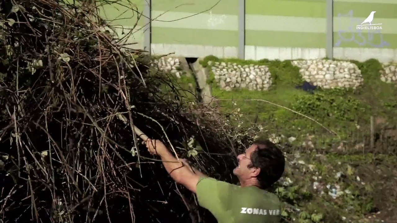 Santa Iria | movie | 2025 | Official Trailer