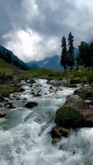 please follow and share